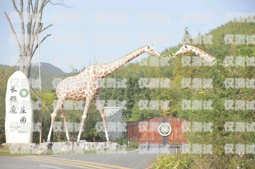 三亞公司電銷卡套餐價(jià)格大揭秘三亞公司電銷卡套餐價(jià)格表