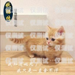 揭秘西安藍(lán)貓電銷卡——合法與風(fēng)險(xiǎn)并存的銷售利器西安藍(lán)貓電銷卡怎么辦理