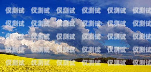 林芝防封電銷卡，為電銷行業(yè)保駕護航林芝防封電銷卡在哪里辦