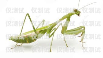 螳螂科技外呼系統(tǒng)密碼忘了怎么辦？螳螂外呼系統(tǒng)價格