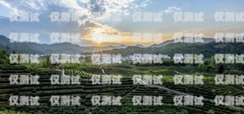 武夷山北緯電銷卡，探索中國茶產業的創新之路武夷山北緯電銷卡電話號碼