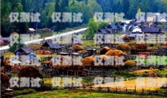 阿勒泰外呼系統參數詳解阿勒泰公司拓展