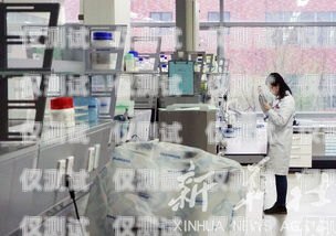 銅仁電銷機器人外包公司，開啟銷售新時代的創新選擇電銷機器人廠家