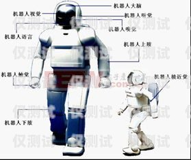 揭秘 95 開頭電話機(jī)器人，工作原理、優(yōu)勢(shì)與應(yīng)用95開頭電話機(jī)器人怎么打