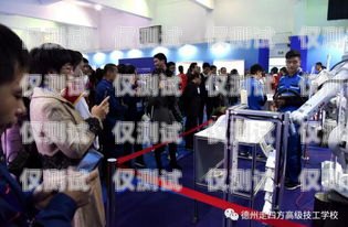 德州市電話機器人公司，創新與發展的引領者德州市電話機器人公司有哪些