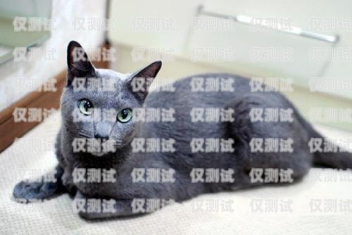 藍(lán)貓電銷卡激活要錢(qián)嗎？多少錢(qián)？藍(lán)貓電銷卡激活要錢(qián)嗎多少錢(qián)一張