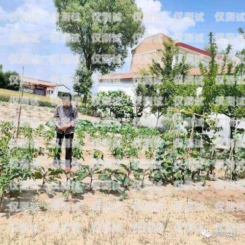 承德外呼系統哪家好？承德縣呼叫中心