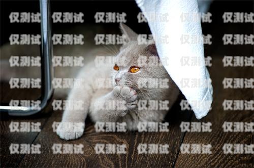 大理藍(lán)貓電銷卡——高效通訊的新選擇大理藍(lán)貓電銷卡怎么辦理