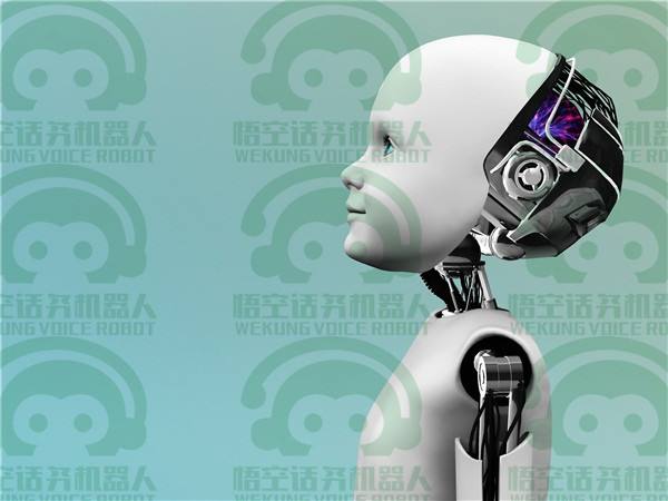 電話機器人專注于輔助方向(機器人撥打電話效果好嗎)