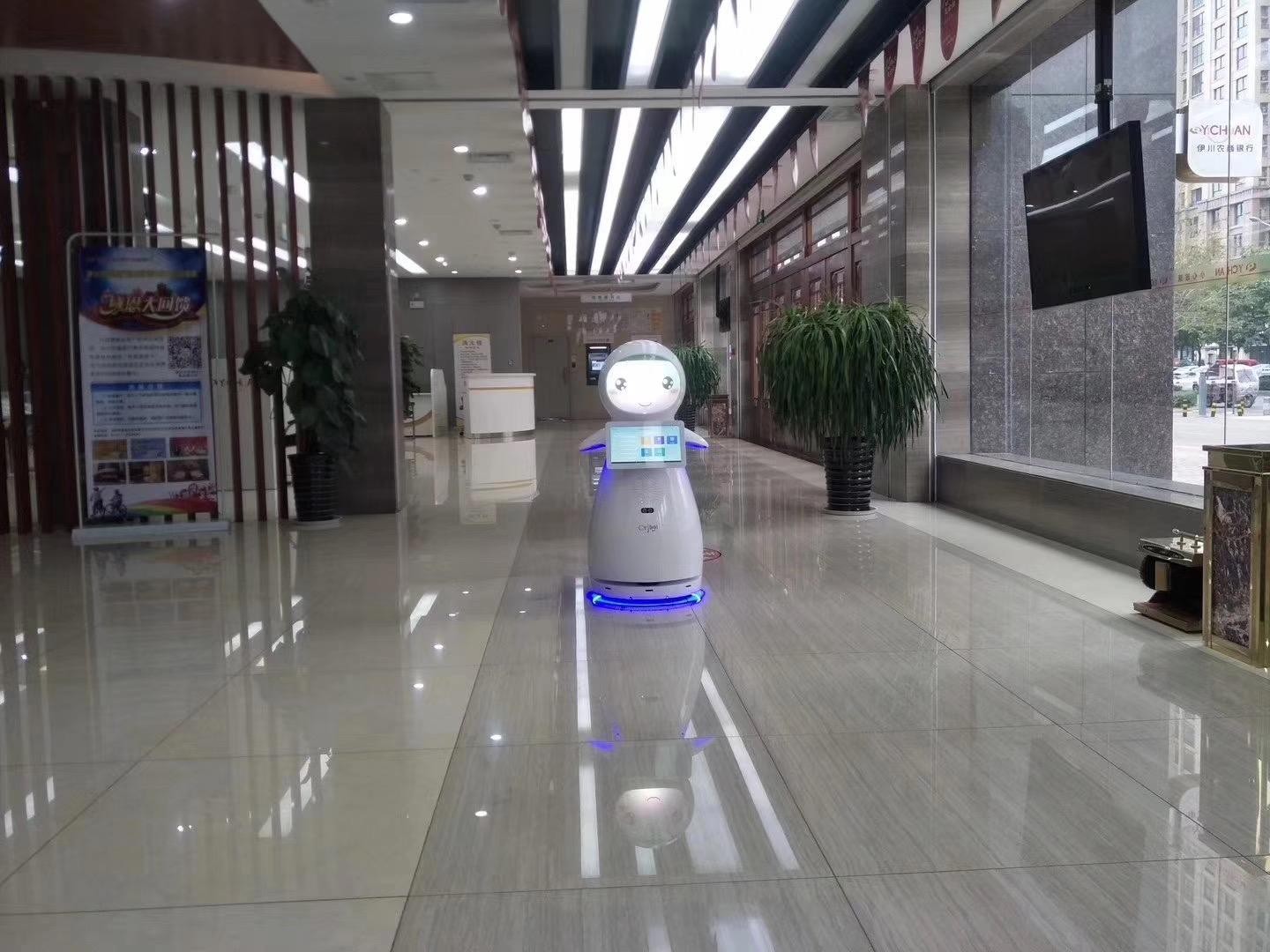 月付智能電話機器人(智能電話機器人公司)